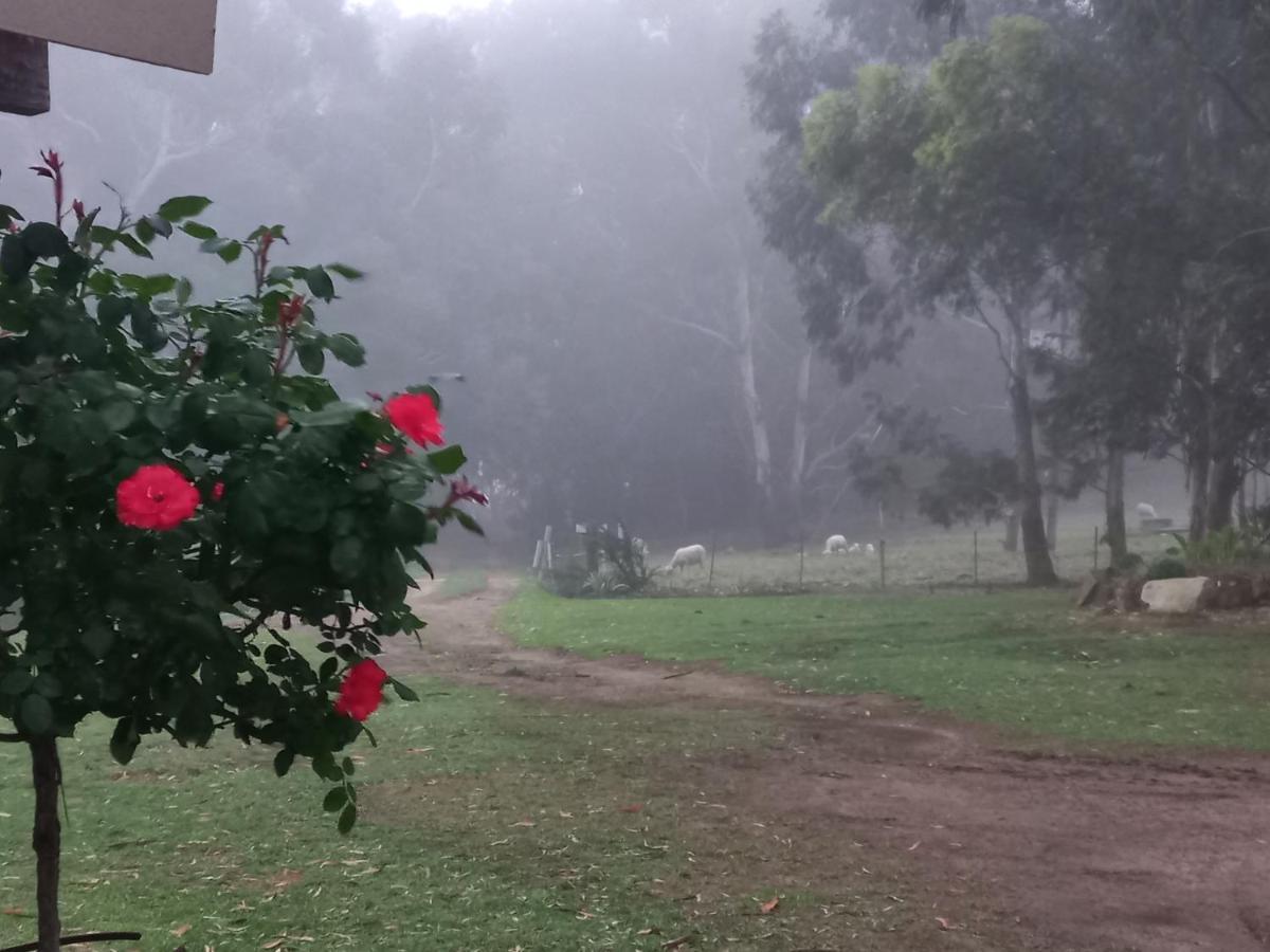 Forellenhof Guest Farm Wakkerstroom Ngoại thất bức ảnh