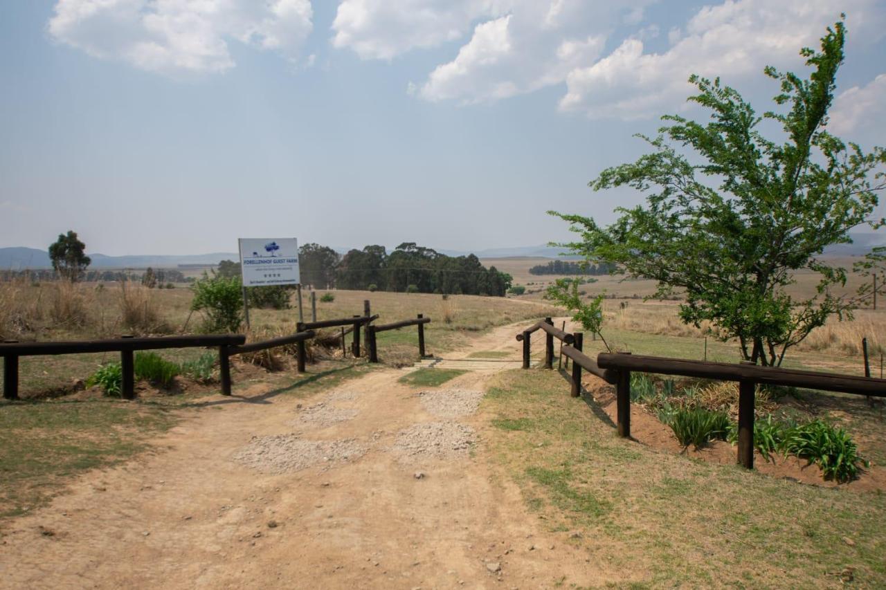 Forellenhof Guest Farm Wakkerstroom Ngoại thất bức ảnh